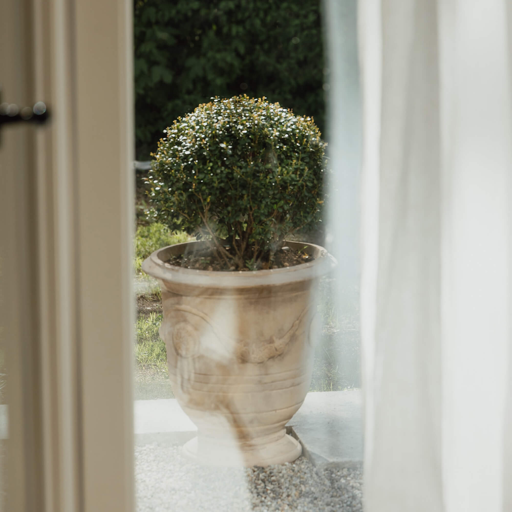 Dekorativer heller Steintopf mit grünem Busch vor einem Haus im Garten