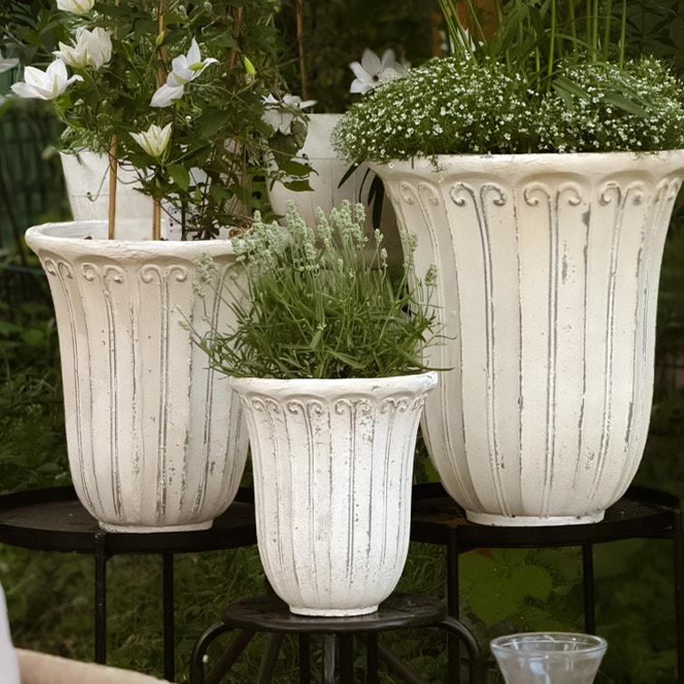 Drei weisse Pflanzgefässe aus Stein mit dekorativem Muster, bepflanzt mit Gartenpflanzen
