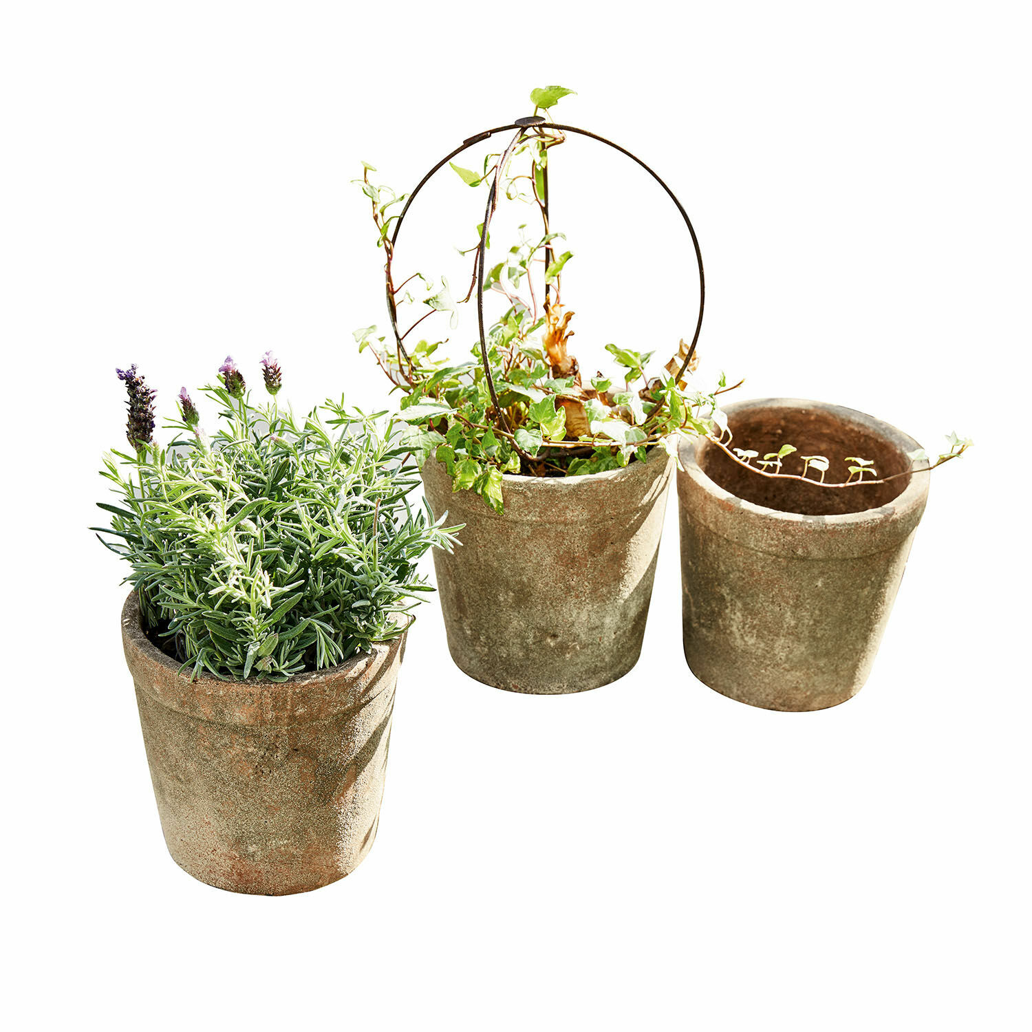 Übertopf 3er Set Care