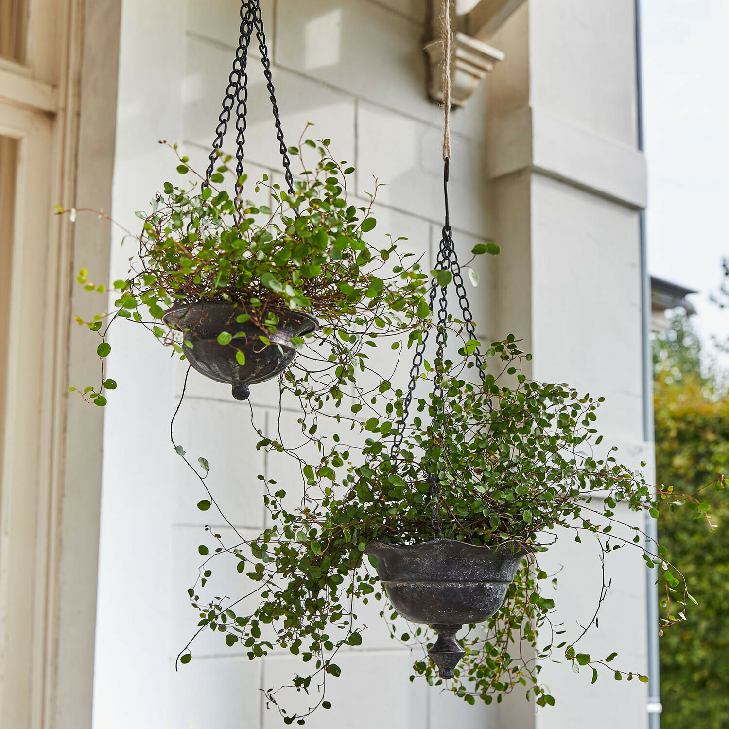 Hängetopf 2er Set Trelonne Hängende Metallpflanzgefäße im Vintage-Stil mit grünen Pflanzen, Gartendekoration und Terrassenzubehör
