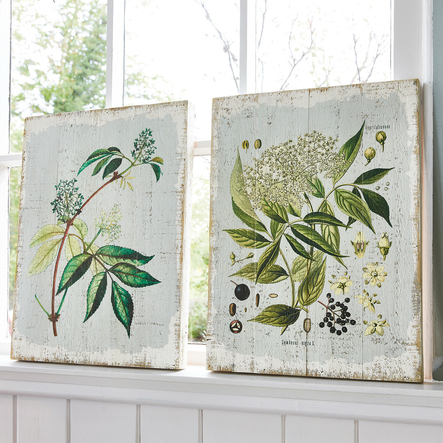 Dekoboard 2er Set Loanne Holztafeln mit botanischen Illustrationen grüner Blätter und Blüten auf hellem Hintergrund zur Dekoration