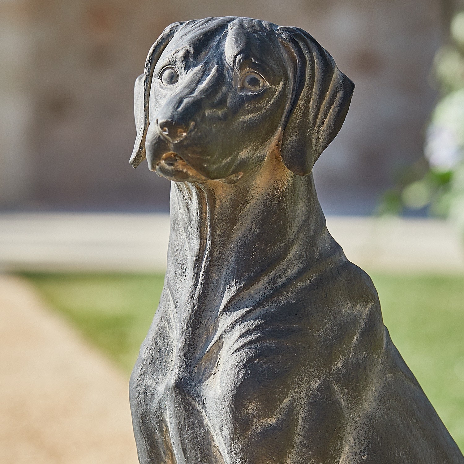 Hund Healy