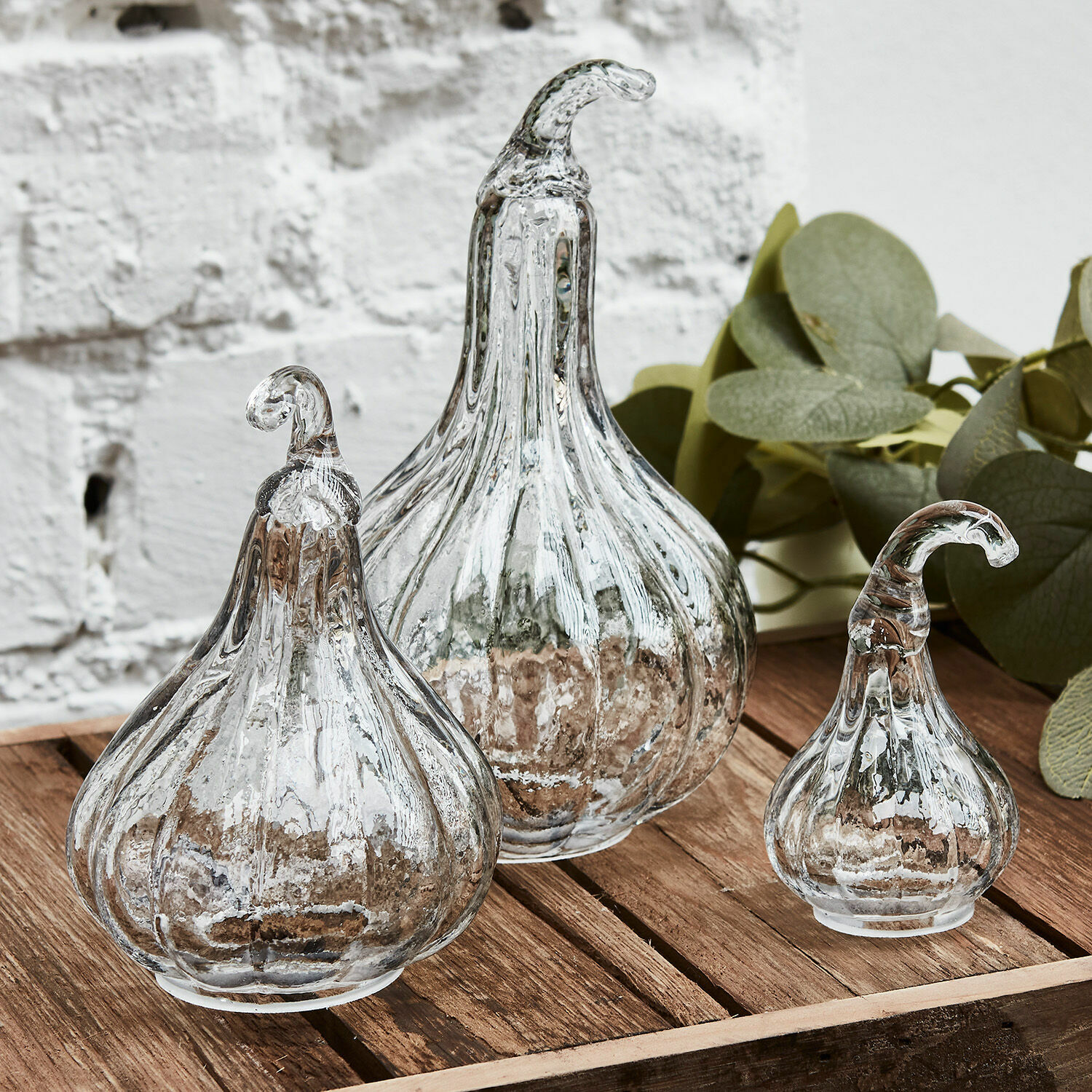 Kürbis 3er Set Lacey Set aus drei dekorativen, durchsichtigen Glas-Kürbissen auf Holztisch, Wohnaccessoire