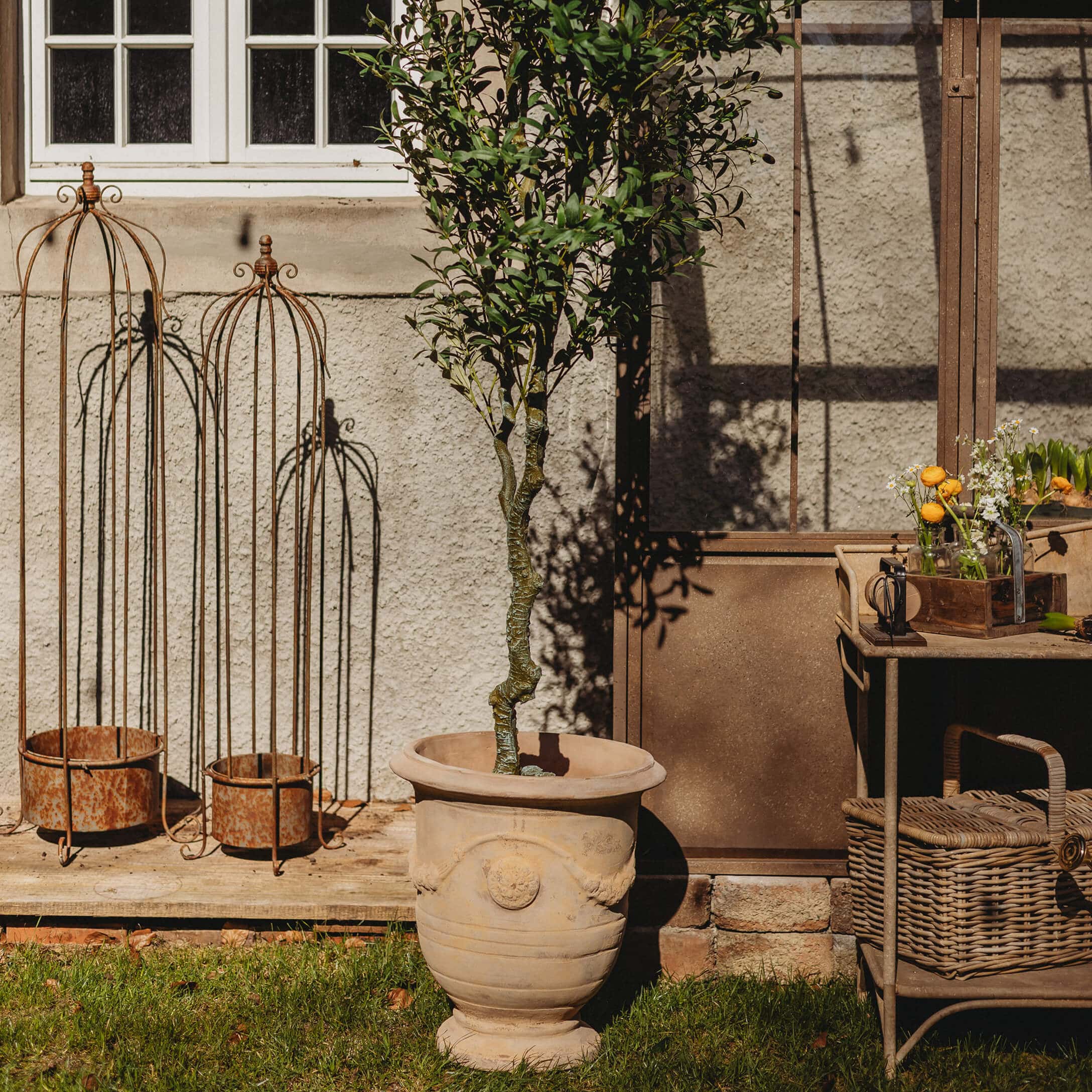 Grosser beiger Keramiktopf mit grünem Baum vor Gartenmauer und rostigen Metallelementen zur Dekoration