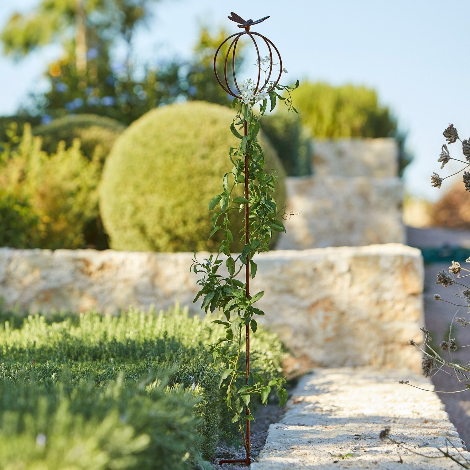 Gartenstab Libelle Metall-Pflanzenstütze in Rostoptik mit Schmetterling, dekorativer Kletterpflanzenhalter für den Garten