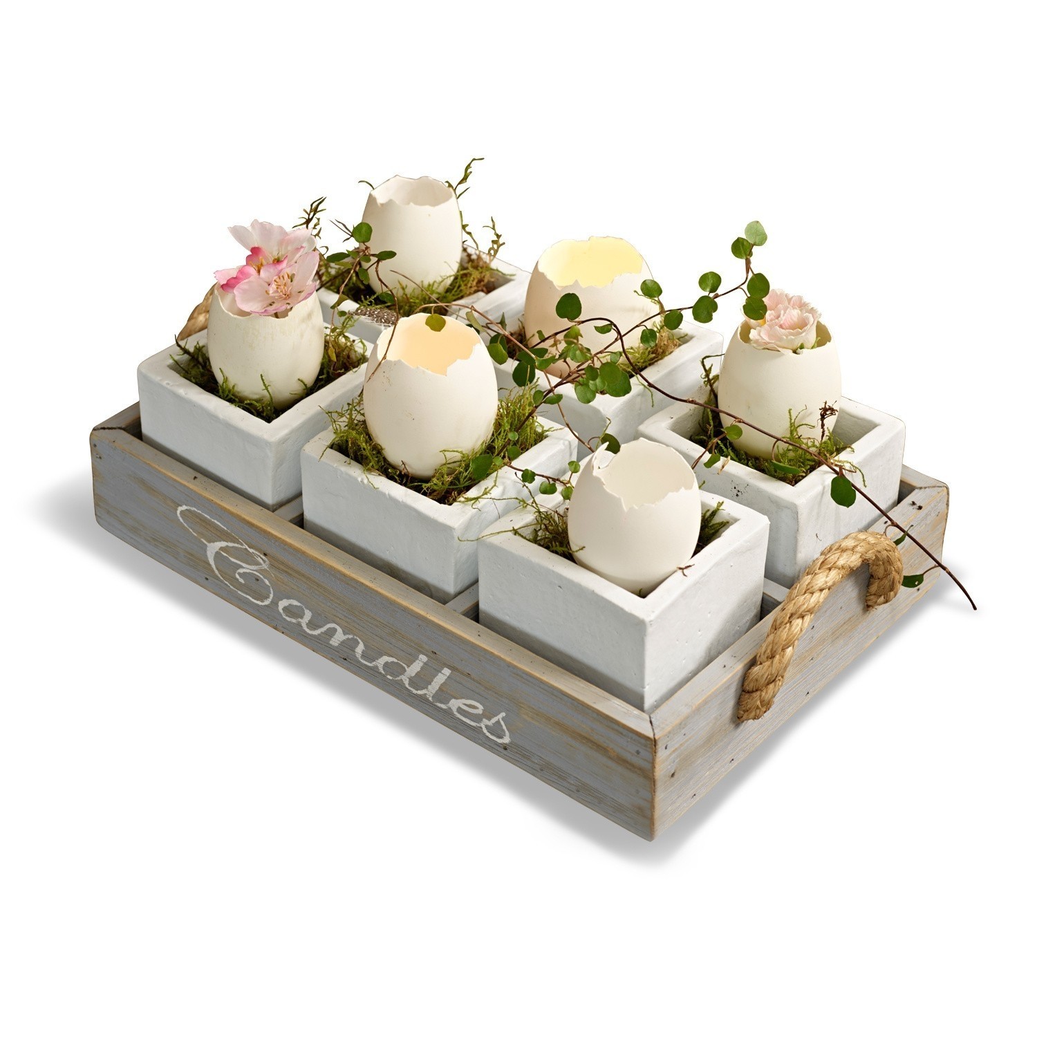 Eierschalen Abandoned Egg