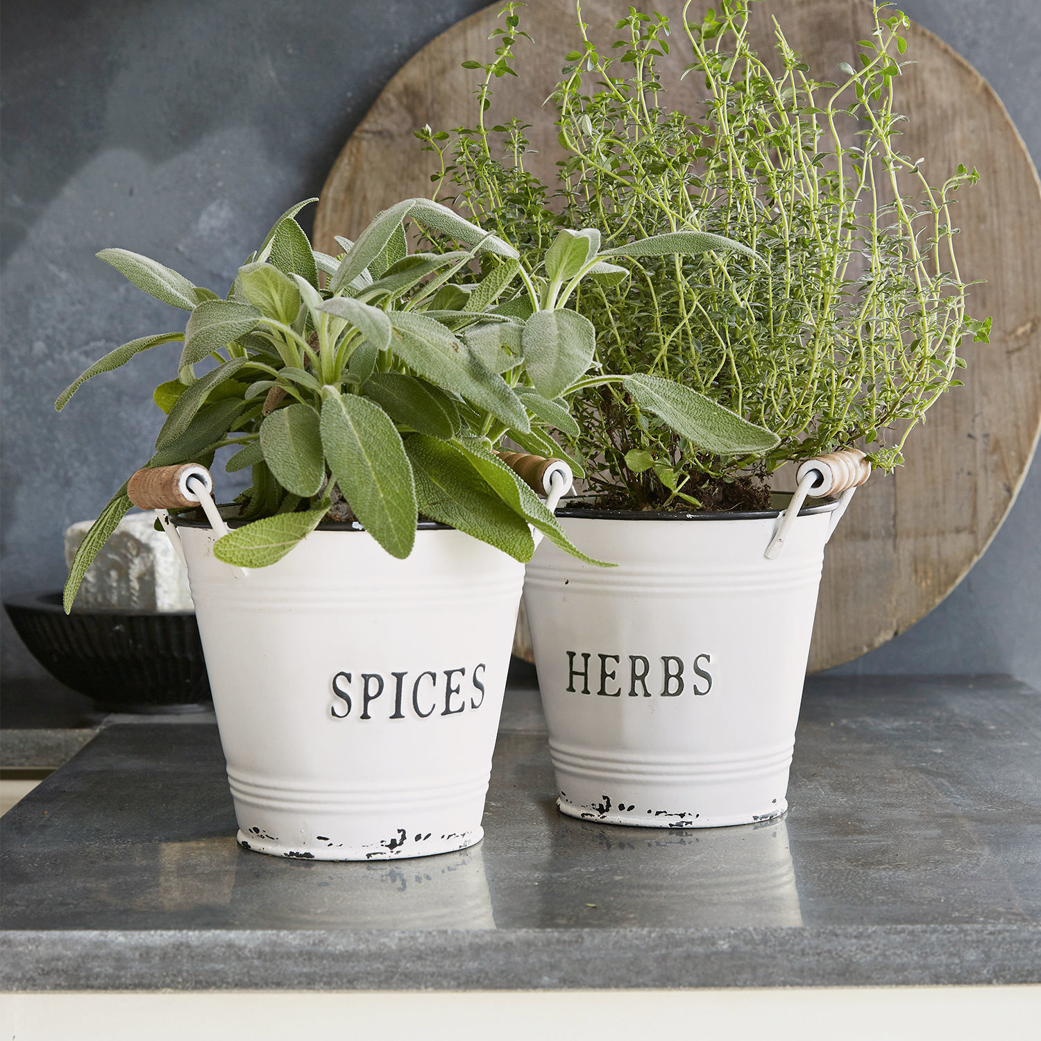 Übertopf 2er Set Trevis Weisse Metalltöpfe mit der Aufschrift Spices und Herbs sowie grünen Kräutern auf der Küchenarbeitsplatte