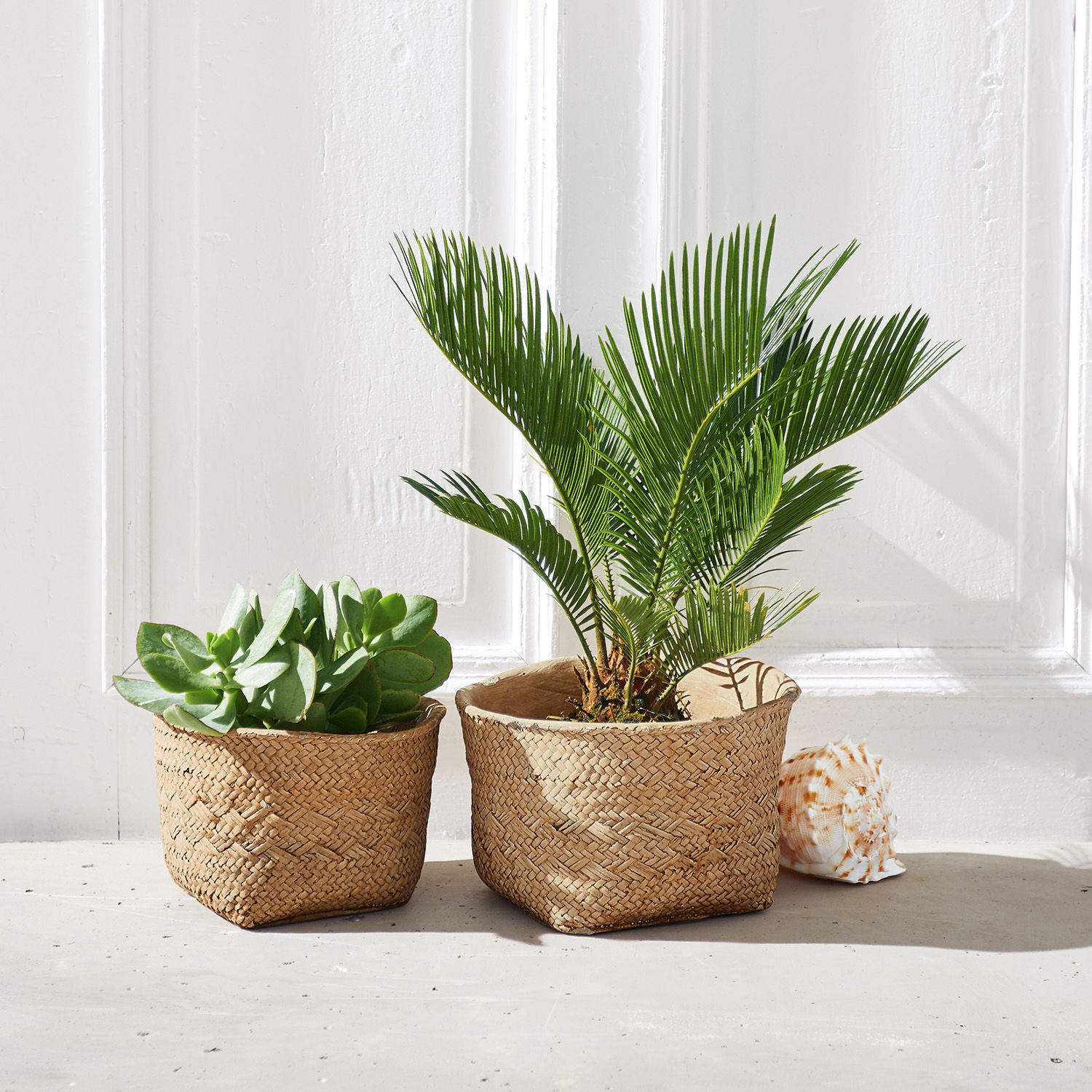 Übertopf 2er Set Hattingston