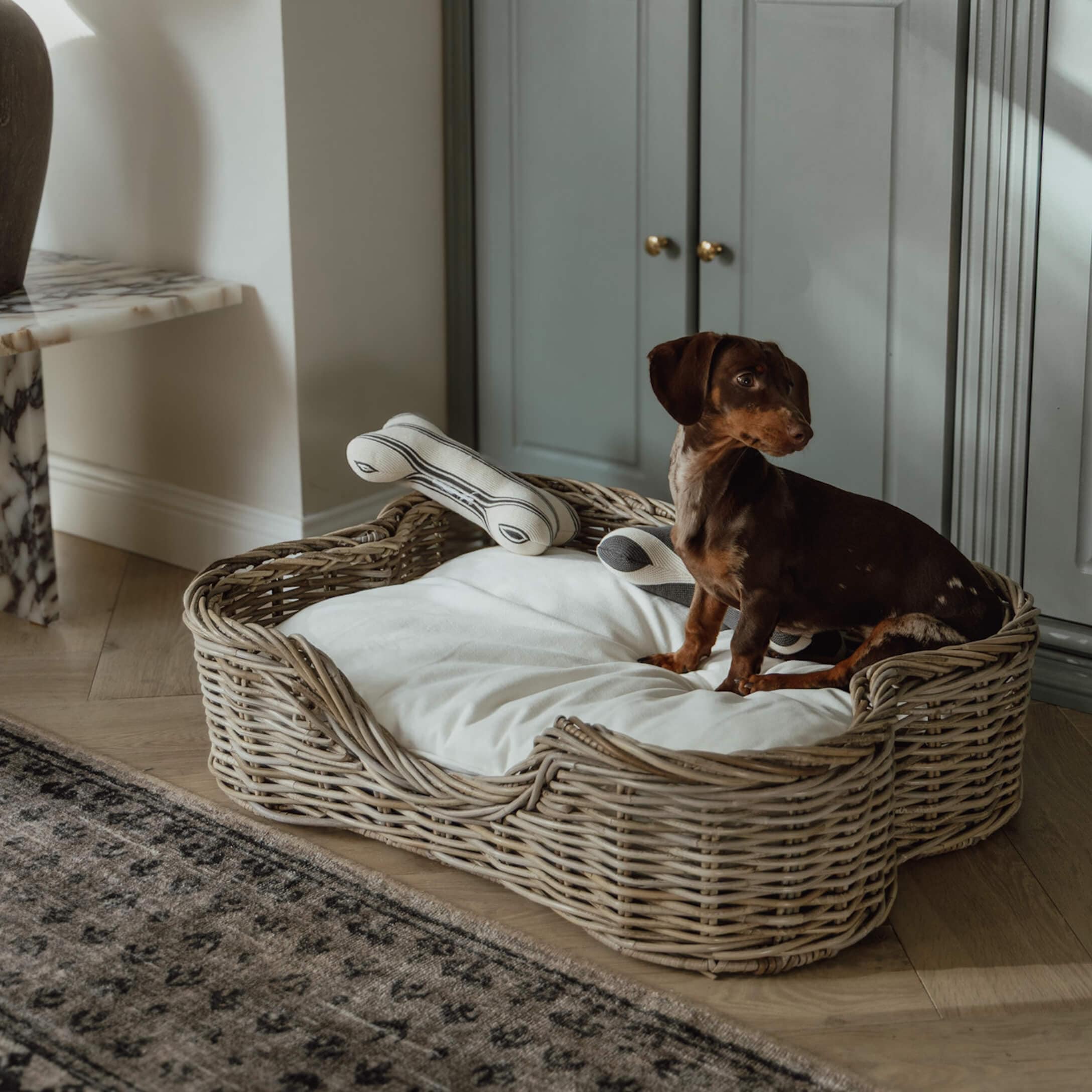 Dackelglück im Rattankorb