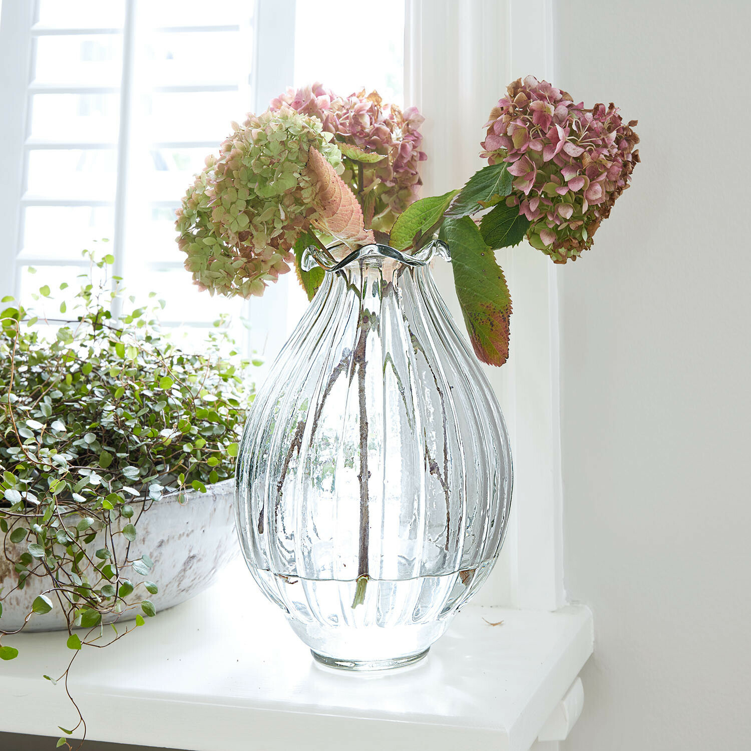 Vase Jardin Lorrain Transparente gerippte Glasvase mit rosa und grünen Hortensien auf weissem Fensterbrett