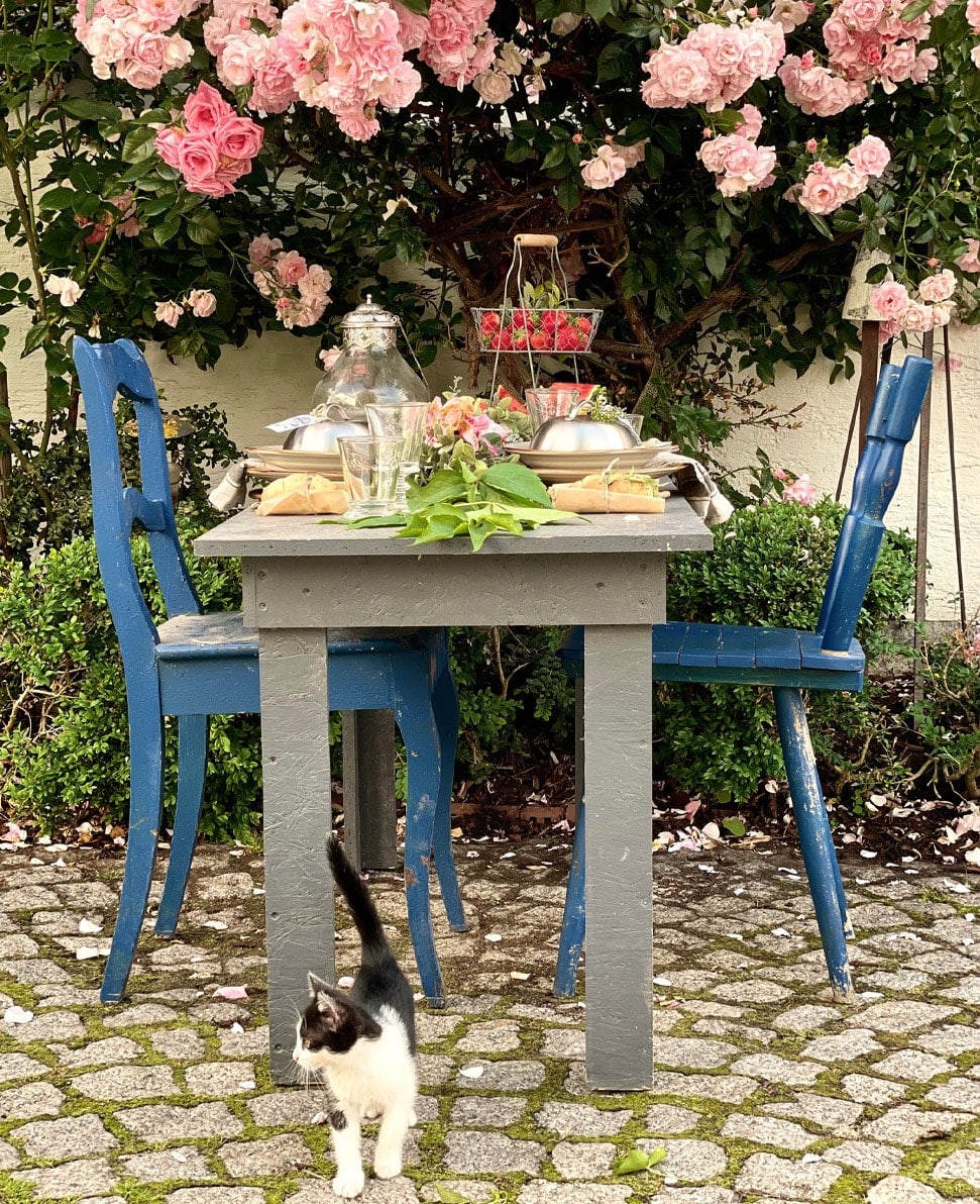 Grauer Holztisch im Garten mit blauen Stühlen und Blumenarrangement auf gepflastertem Hof mit Katze