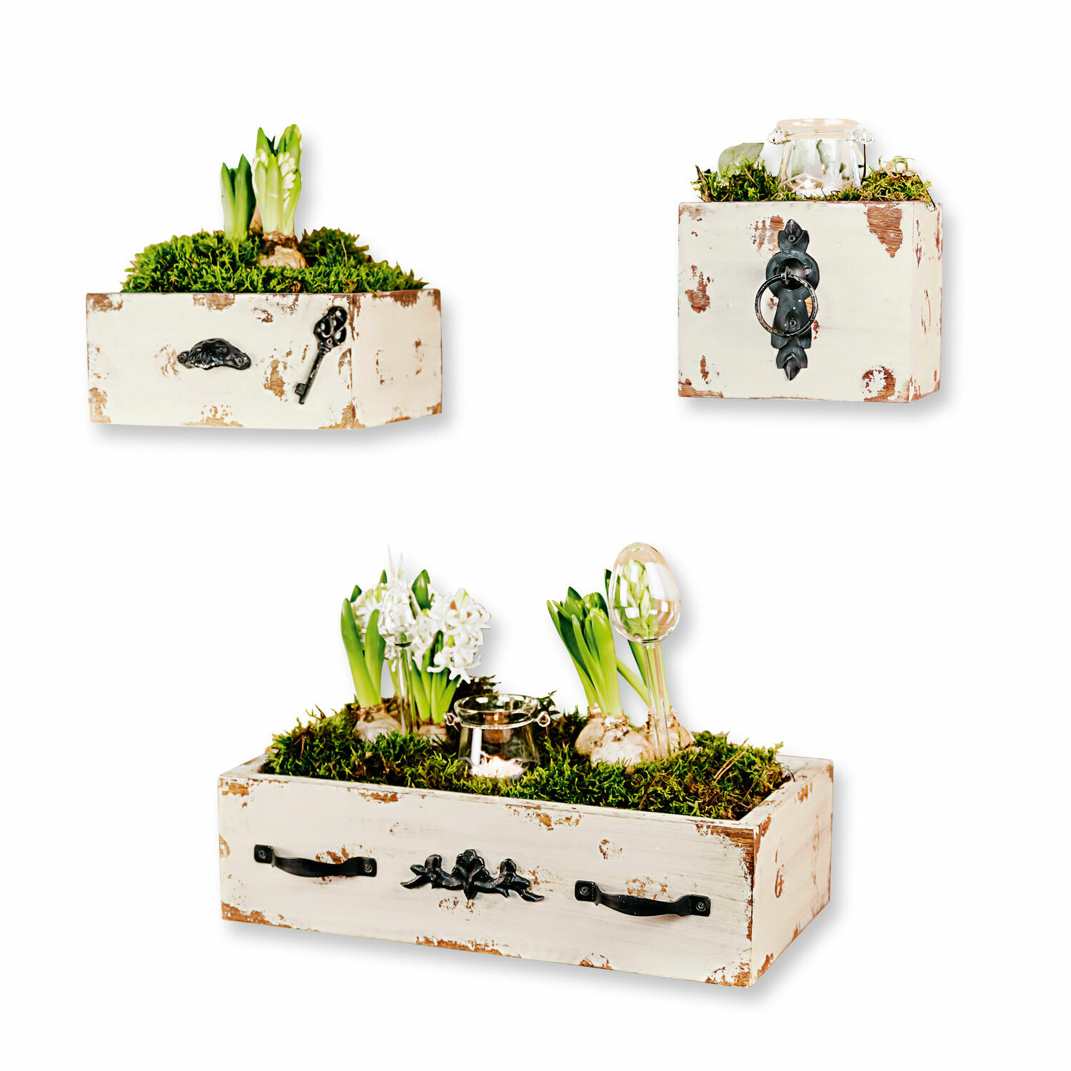Set aus drei weissen Holzpflanzkästen mit Shabby-Chic-Effekt und grünen Pflanzen im Moos